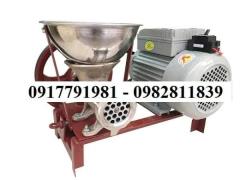 Cối xay thịt Việt Nam mini - inox