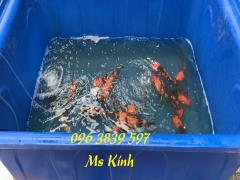 Thùng nhựa nuôi cá koi 2000 lít, thùng nhựa lớn, bồn nhựa nuôi cá, đựng hóa chất - 096 3839 597 Ms Kính
