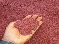 Cung cấp các loại nông sản: hồ tiêu, hạt điều màu