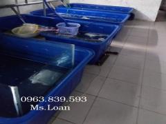 Bể nhựa 1000lit chữ nhật - thùng nhựa nuôi cá 1000L / 0963 839 593 Ms.Loan