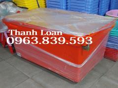 Thùng đá thái lan 300lit trữ gia cầm đông lạnh / 0963 839 593 Ms.Loan